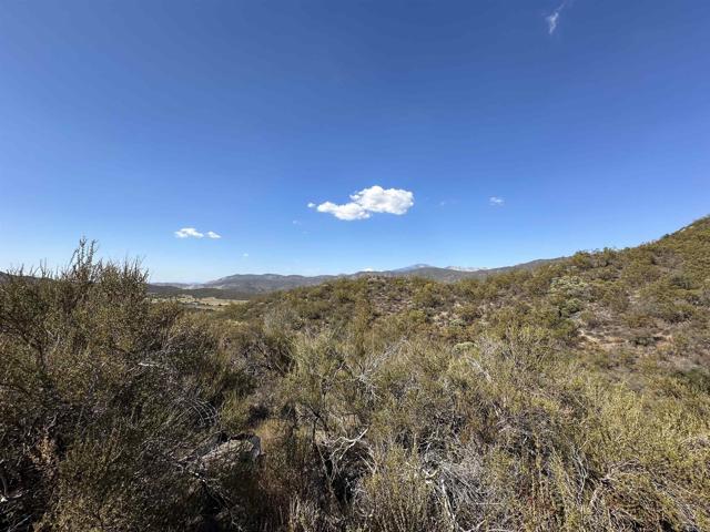 MLS #PTP2506948 image #11