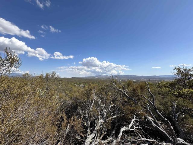 MLS #PTP2506948 image #14