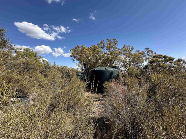 MLS #PTP2506948 image #16
