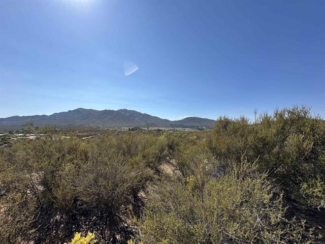 MLS #PTP2506948 image #18