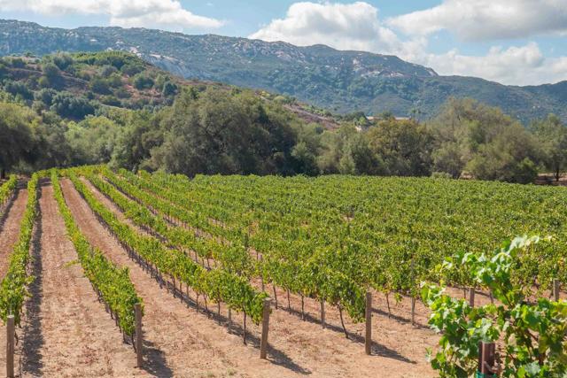 MLS #PTP2507052 image #0