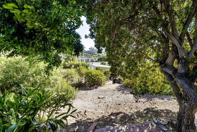 MLS #PTP2507054 image #34