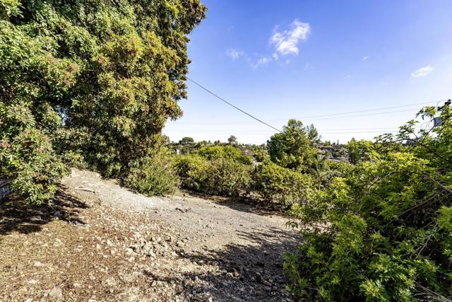 MLS #PTP2507054 image #35