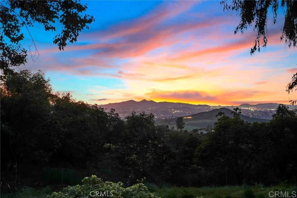 MLS #PTP2507080 image #11