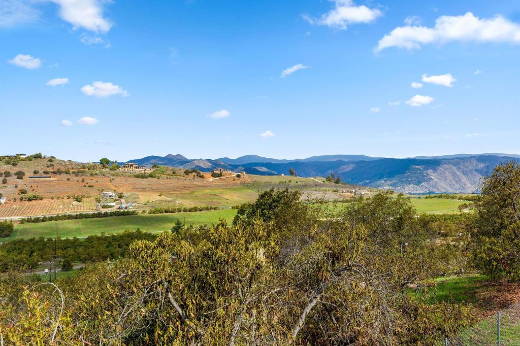 MLS #PTP2507080 image #35