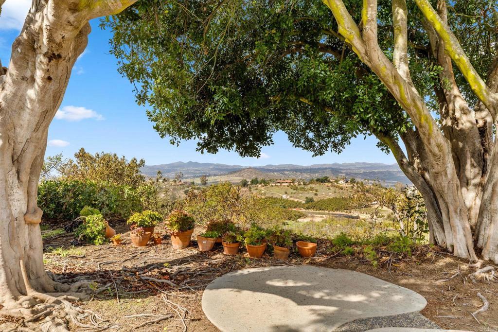 MLS #PTP2507080 image #36