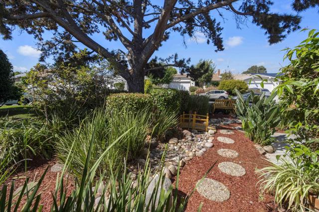 MLS #PTP2507081 image #3