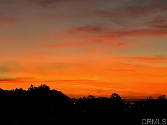 MLS #PTP2507139 image #6