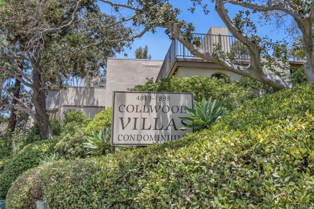 MLS #PTP2507181 image #9