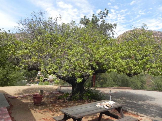 MLS #PTP2507192 image #17