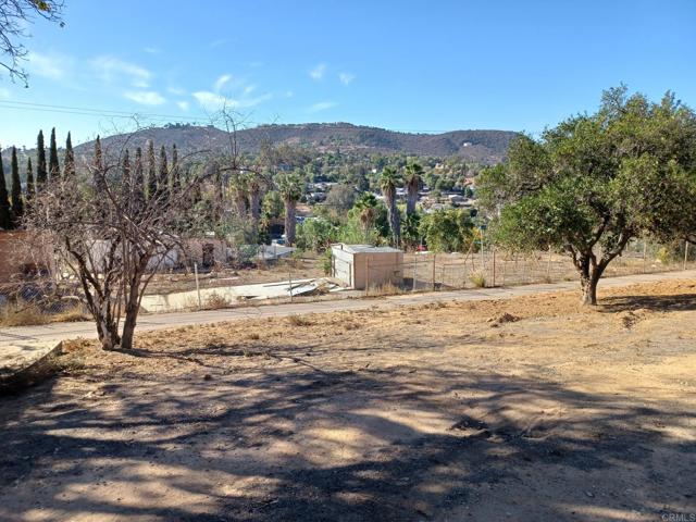 MLS #PTP2507291 image #7