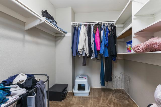 MLS #PTP2507659 image #33