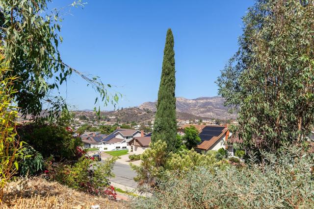 MLS #PTP2507659 image #55