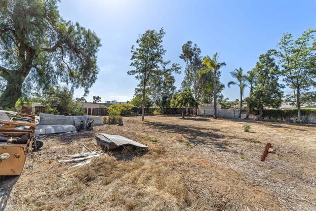 MLS #PTP2507727 image #5