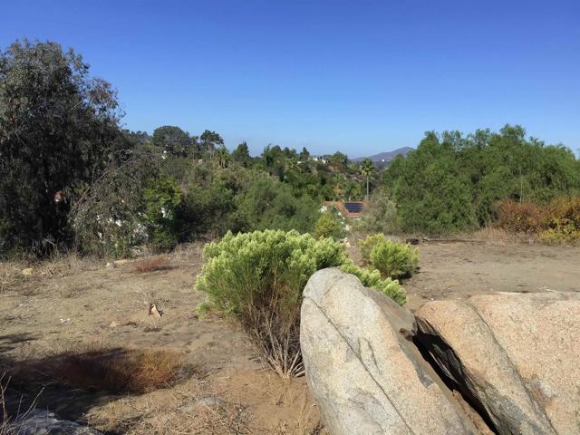 MLS #PTP2507748 image #39