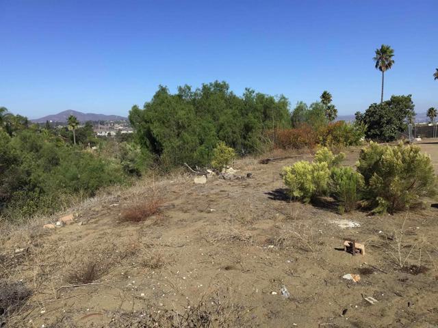 MLS #PTP2507748 image #42