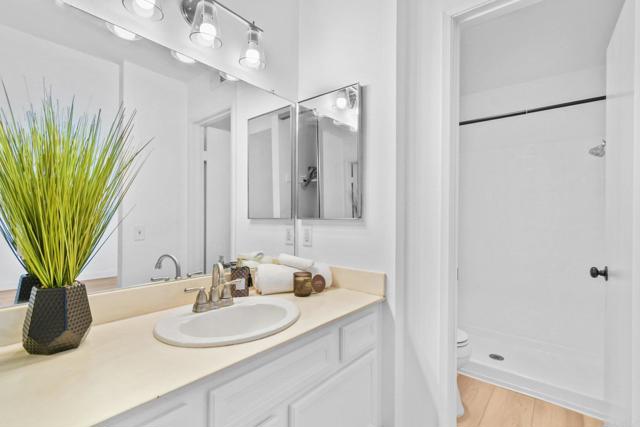 MLS #PTP2507765 image #20