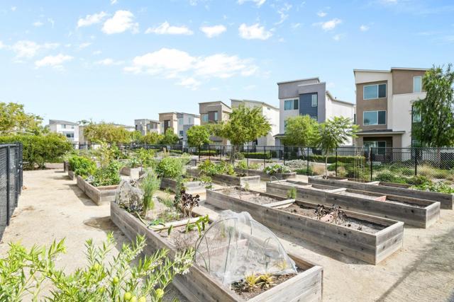 MLS #PTP2507848 image #41