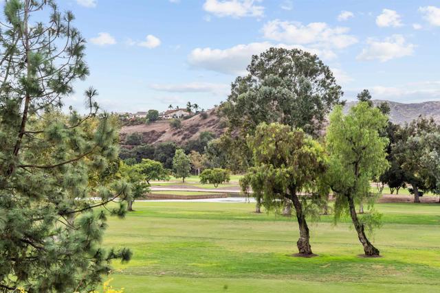 MLS #PTP2507871 image #27