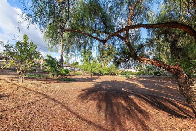 MLS #PTP2507887 image #34