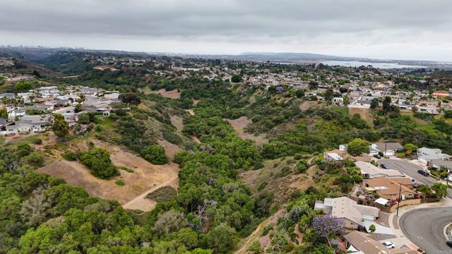 MLS #PTP2507897 image #60