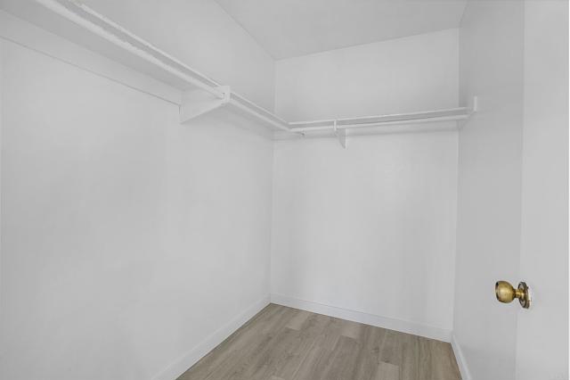 MLS #PTP2507913 image #14