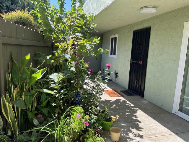 MLS #PTP2507934 image #6