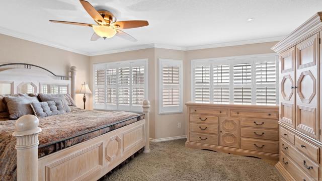 MLS #PTP2507943 image #17