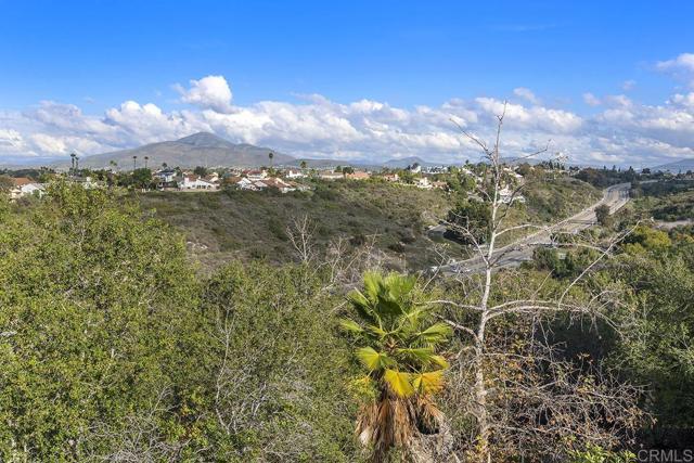 MLS #PTP2507956 image #61