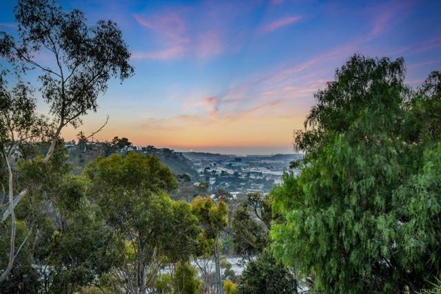 MLS #PTP2508148 image #10