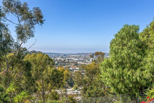 MLS #PTP2508148 image #63