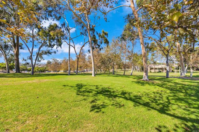 MLS #PTP2508157 image #46