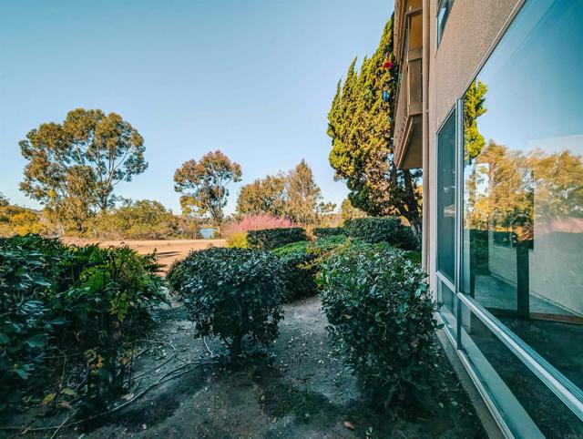 MLS #PTP2508181 image #22