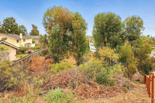 MLS #PTP2508191 image #46