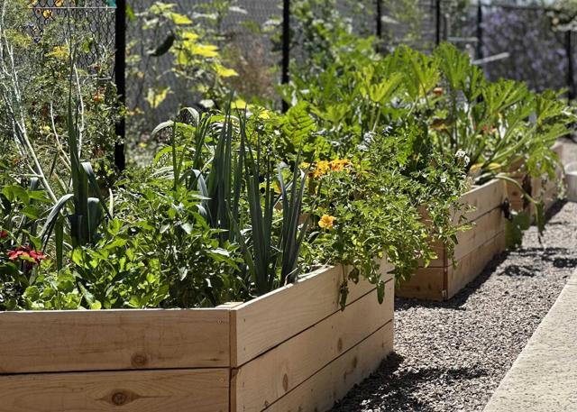 MLS #PTP2508192 image #35