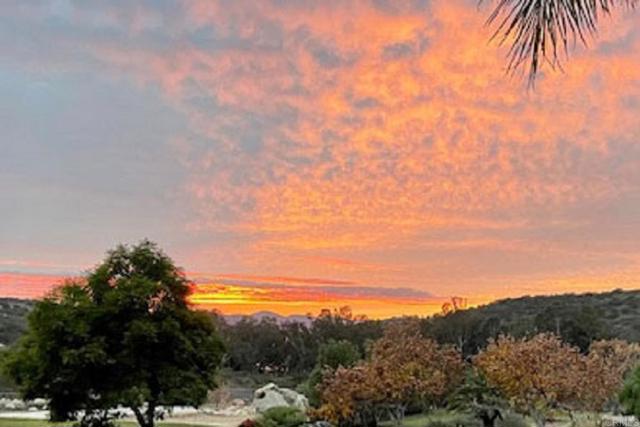 MLS #PTP2508192 image #46