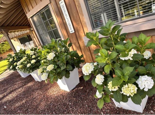 MLS #PTP2508192 image #7