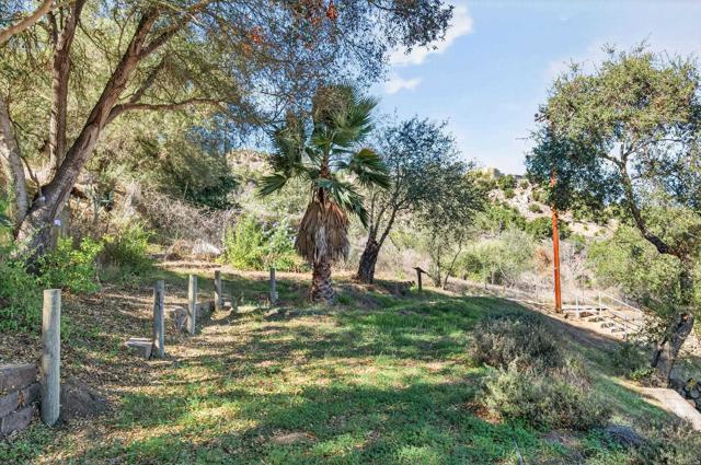 MLS #PTP2508224 image #25