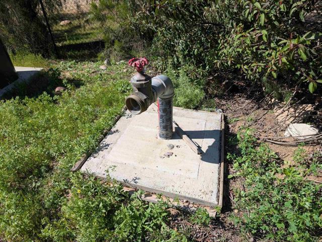 MLS #PTP2508267 image #13