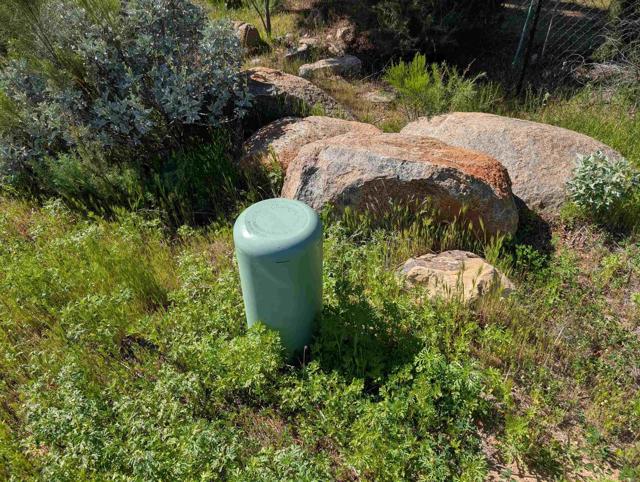 MLS #PTP2508267 image #15