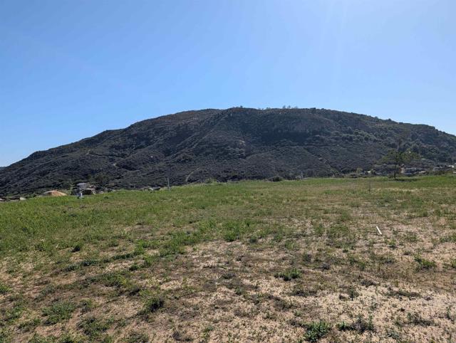 MLS #PTP2508267 image #20