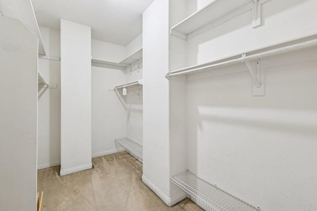 MLS #PTP2508298 image #38