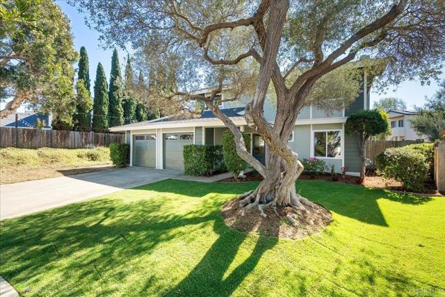 MLS #PTP2508306 image #38