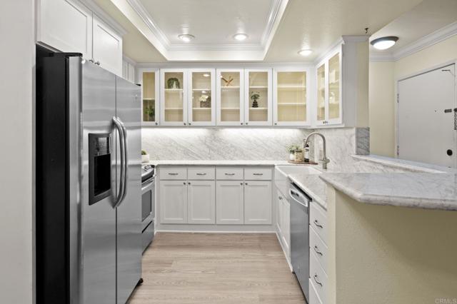 MLS #PTP2508310 image #8