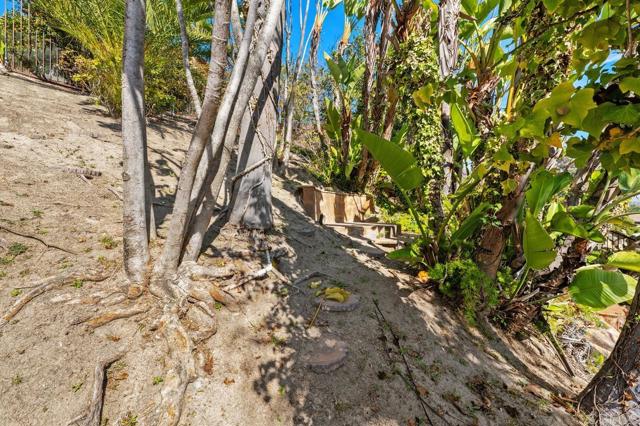 MLS #PTP2508374 image #36