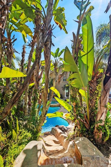 MLS #PTP2508374 image #38