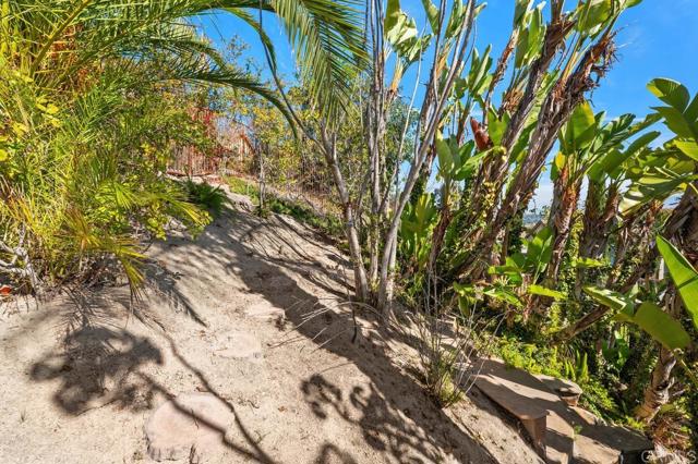 MLS #PTP2508374 image #39