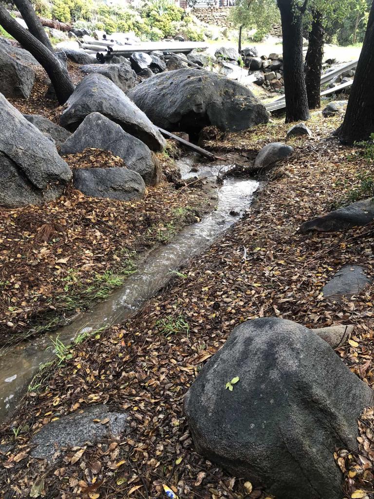 MLS #PTP2508405 image #65