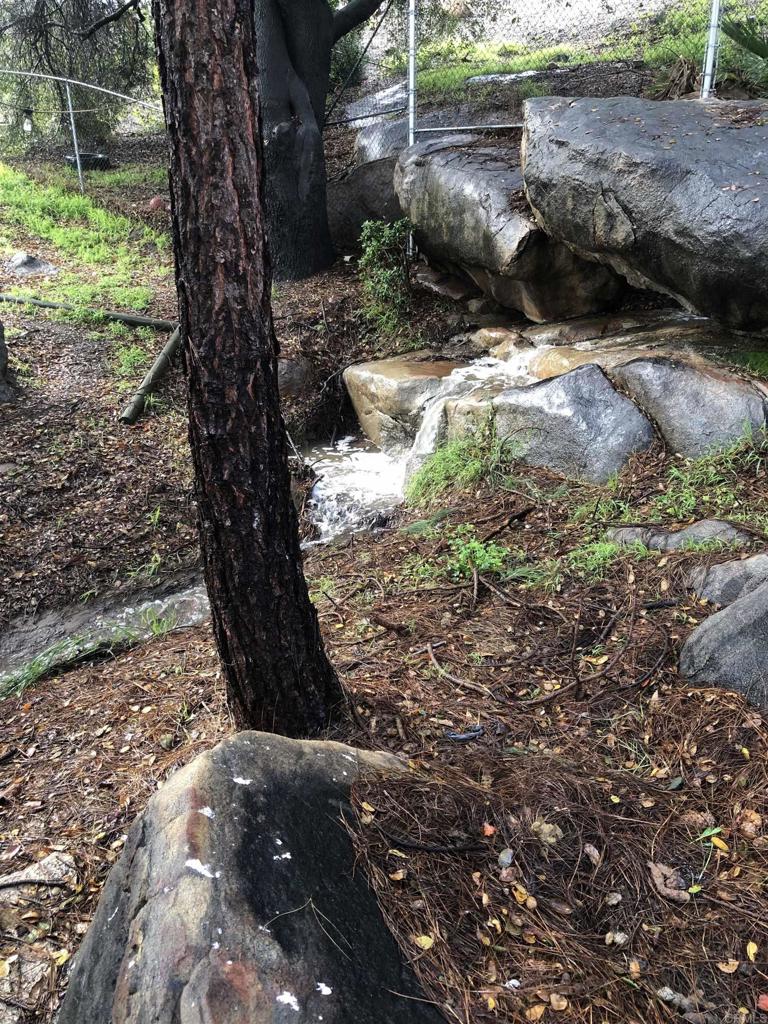 MLS #PTP2508405 image #66