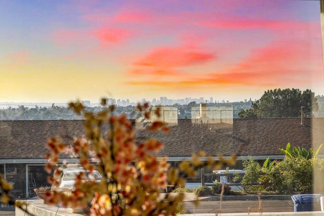 MLS #PTP2508501 image #69